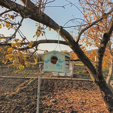 Сasa de vacaciones Domček V Záhrade