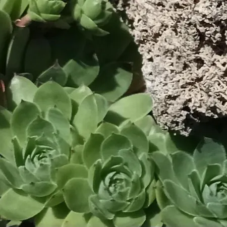 Domcek V Zahrade Nyaraló