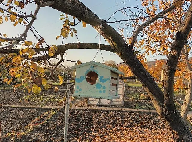 Casa de Férias Domček V Záhrade