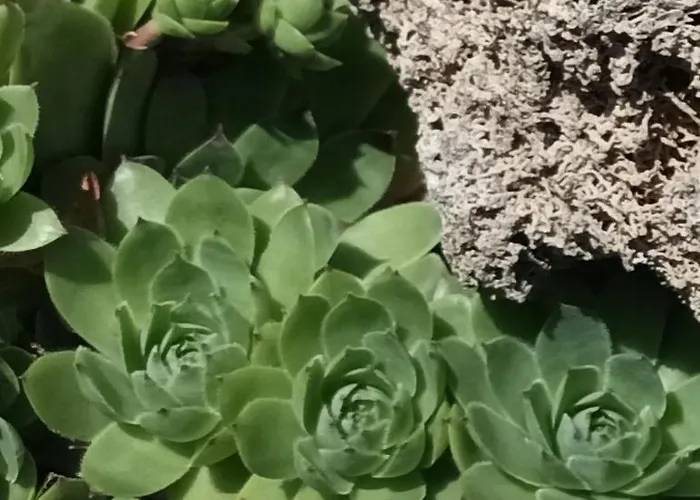 Domček V Záhrade Casa de Férias